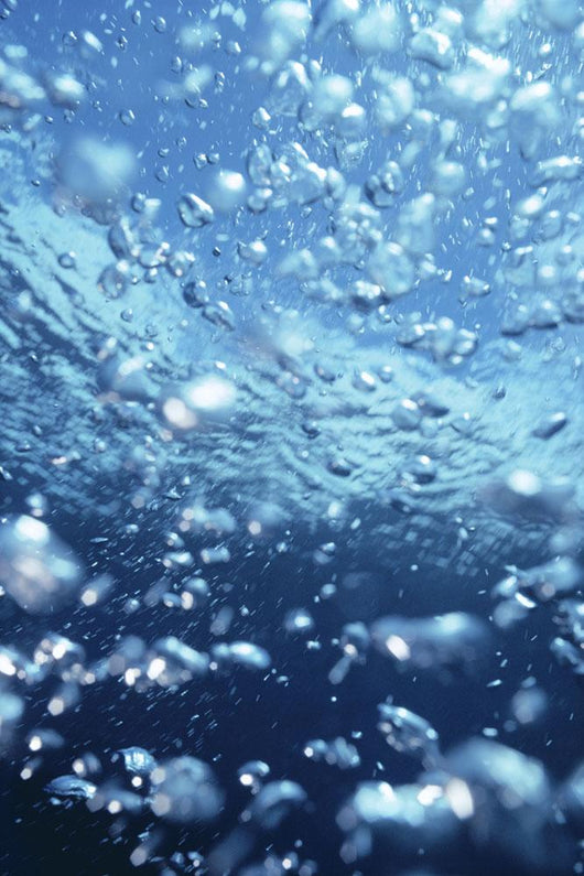 Underwater View Of Air Bubbles Near Surface Wall Mural