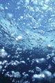 Underwater View Of Air Bubbles Near Surface Wall Mural