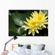 Two Yellow Water Lilies, Close-Up, Lily Pad Wall Mural