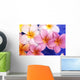 Close-Up Of Yellow And Pink Plumeria Flowers Wall Mural
