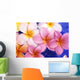 Close-Up Of Yellow And Pink Plumeria Flowers Wall Mural