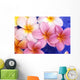 Close-Up Of Yellow And Pink Plumeria Flowers Wall Mural
