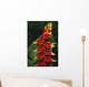 Detail Of Hanging Heliconia Against Leaf, Bright Contrasting Colors Wall Mural