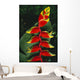 Detail Of Hanging Heliconia Against Leaf, Bright Contrasting Colors Wall Mural