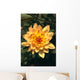 Close-Up Single Dahlia Flower Wall Mural