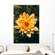 Close-Up Single Dahlia Flower Wall Mural