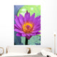 Close-Up Detail Of Vibrant Lily Flower, Lily Pad Wall Mural