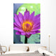 Close-Up Detail Of Vibrant Lily Flower, Lily Pad Wall Mural