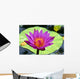 Close-Up Of Single Bright Pink Water Lily With Yellow Center, Lily Pad Wall Mural
