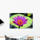 Close-Up Of Single Bright Pink Water Lily With Yellow Center, Lily Pad Wall Mural
