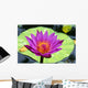 Close-Up Of Single Bright Pink Water Lily With Yellow Center, Lily Pad Wall Mural