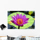Close-Up Of Single Bright Pink Water Lily With Yellow Center, Lily Pad Wall Mural