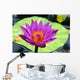 Close-Up Of Single Bright Pink Water Lily With Yellow Center, Lily Pad Wall Mural