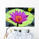 Close-Up Of Single Bright Pink Water Lily With Yellow Center, Lily Pad Wall Mural