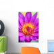 Extreme Close-Up Of Center Of Pink Water Lily Flower, Yellow Center Wall Mural