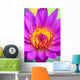 Extreme Close-Up Of Center Of Pink Water Lily Flower, Yellow Center Wall Mural