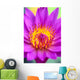 Extreme Close-Up Of Center Of Pink Water Lily Flower, Yellow Center Wall Mural
