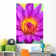 Extreme Close-Up Of Center Of Pink Water Lily Flower, Yellow Center Wall Mural