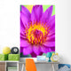 Extreme Close-Up Of Center Of Pink Water Lily Flower, Yellow Center Wall Mural