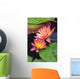 Close-Up Of Two Pink Water Lily Flowers, Lily Pads Wall Mural