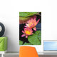 Close-Up Of Two Pink Water Lily Flowers, Lily Pads Wall Mural