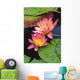 Close-Up Of Two Pink Water Lily Flowers, Lily Pads Wall Mural