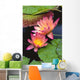 Close-Up Of Two Pink Water Lily Flowers, Lily Pads Wall Mural
