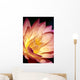 Detailed Image Of Pink Water Lily With Yellow Inside, Extreme Close-Up Wall Mural