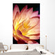 Detailed Image Of Pink Water Lily With Yellow Inside, Extreme Close-Up Wall Mural