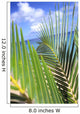 View Through Green Palm Leaves Of Blue Sky Wall Mural