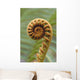 Close-Up Of A Curled 'ama'uma'u Fern, Blurred Background Wall Mural