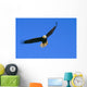 Alaska, Inside Passage, View Of A Bald Eagle In Flight, Hunting Wall Mural