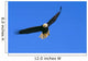 Alaska, Inside Passage, View Of A Bald Eagle In Flight, Hunting Wall Mural