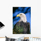 Head Turned Wall Mural