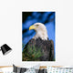 Head Turned Wall Mural