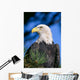 Head Turned Wall Mural