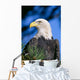 Head Turned Wall Mural