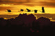 Alaska, Sandhill Crane Flying Above Clouds In Golden Sunset Sky Wall Mural