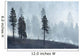 Logged Forest Wall Mural