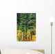 Oregon, Cascade Mountain Range, Pine Trees And Fall Colors Wall Mural