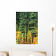 Oregon, Cascade Mountain Range, Pine Trees And Fall Colors Wall Mural
