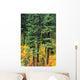 Oregon, Cascade Mountain Range, Pine Trees And Fall Colors Wall Mural