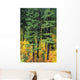 Oregon, Cascade Mountain Range, Pine Trees And Fall Colors Wall Mural