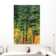 Oregon, Cascade Mountain Range, Pine Trees And Fall Colors Wall Mural