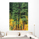 Oregon, Cascade Mountain Range, Pine Trees And Fall Colors Wall Mural