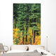 Oregon, Cascade Mountain Range, Pine Trees And Fall Colors Wall Mural