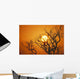 Hawaii, Branches Of Keawe Tree Silhouetted Against Sunset Wall Mural