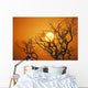 Hawaii, Branches Of Keawe Tree Silhouetted Against Sunset Wall Mural