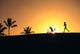 Woman In Distance, Silhouetted Running At Sunset, Palm Trees Wall Mural