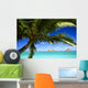 Sailboat In Turquoise Waters Wall Mural